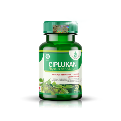 Tazakka Ciplukan 60 Kapsul Obat Herbal Meringankan Gejala Diabetes