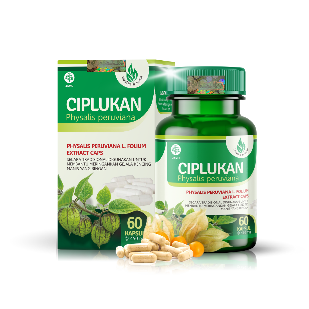 Tazakka Ciplukan 60 Kapsul Obat Herbal Meringankan Gejala Diabetes