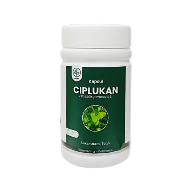 Sekar Utami Toga Ciplukan 45 Kapsul Obat Diabetes dan Pembengkakan Prostat - Pusat Farma