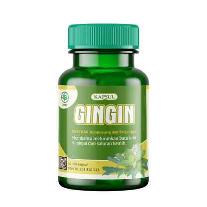 Griya Herba GinGin 60 Kapsul Obat Herbal Membantu Meluruhkan Batu Urin