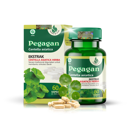 Tazakka Pegagan 60 Kapsul Obat Herbal Mendukung Fungsi Otak
